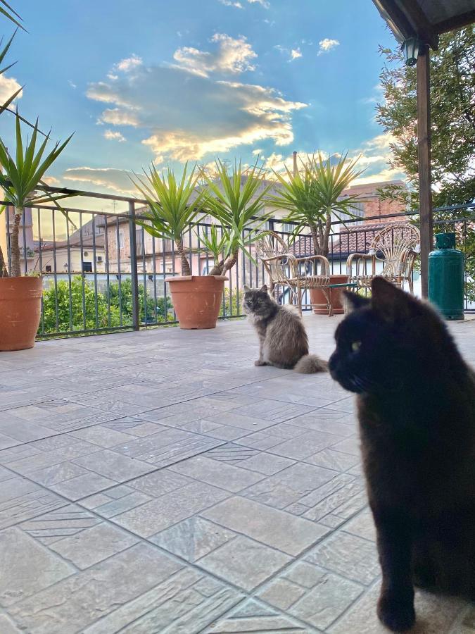 Willa La Terrazza Sapri Zewnętrze zdjęcie